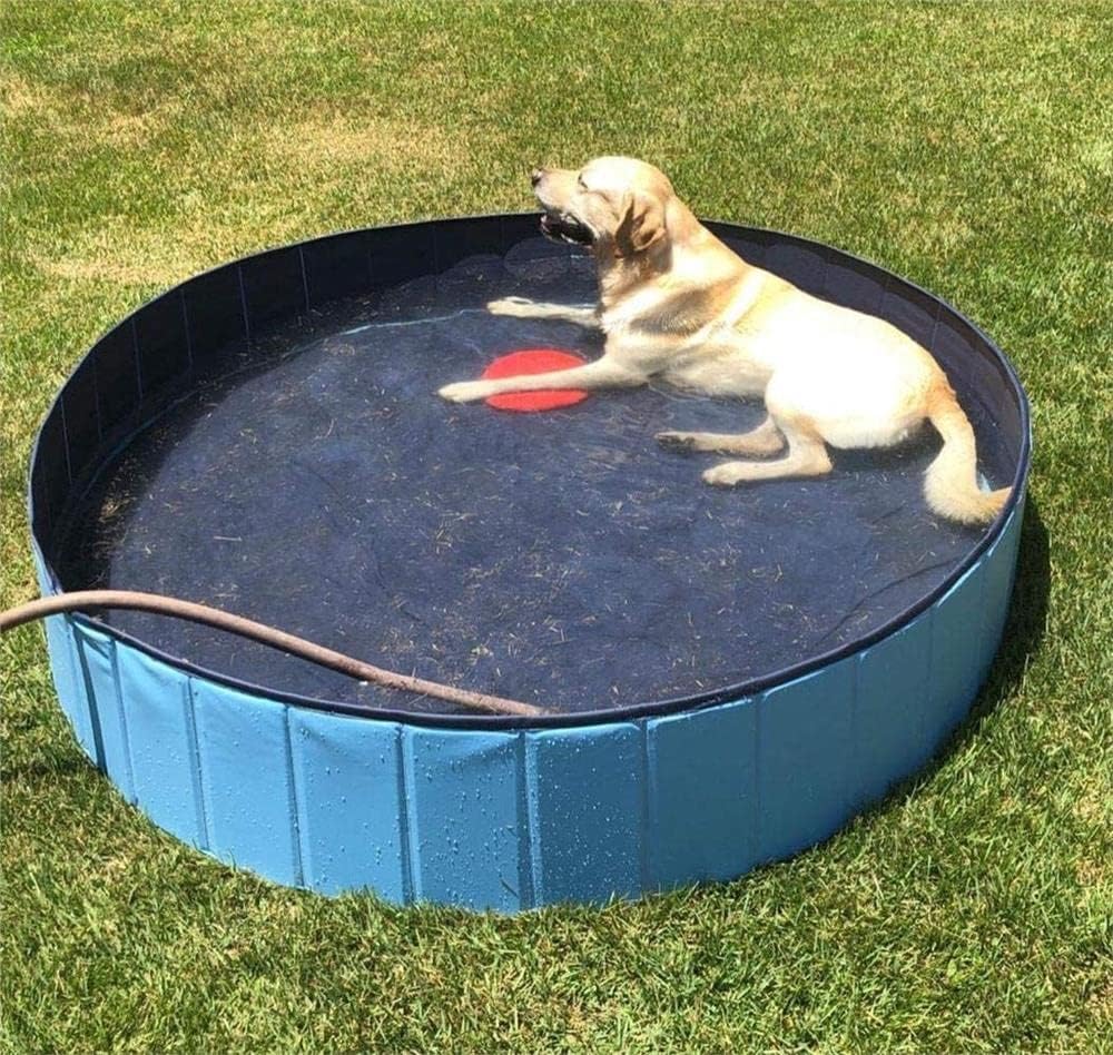 Foldable dog pool
